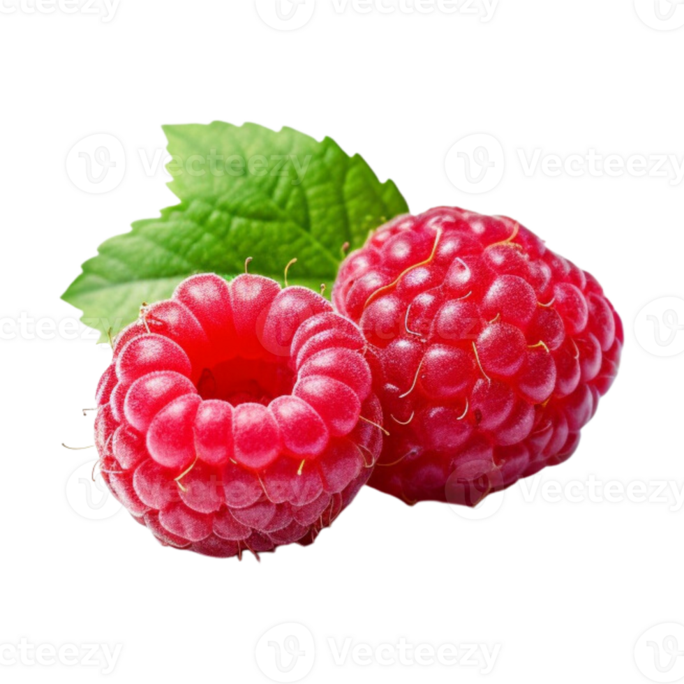 Fresh ripe raspberries with leaves isolated on transparent background. png