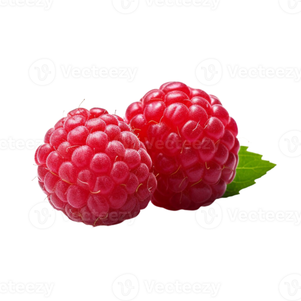 Fresh ripe raspberries with leaves isolated on transparent background. png