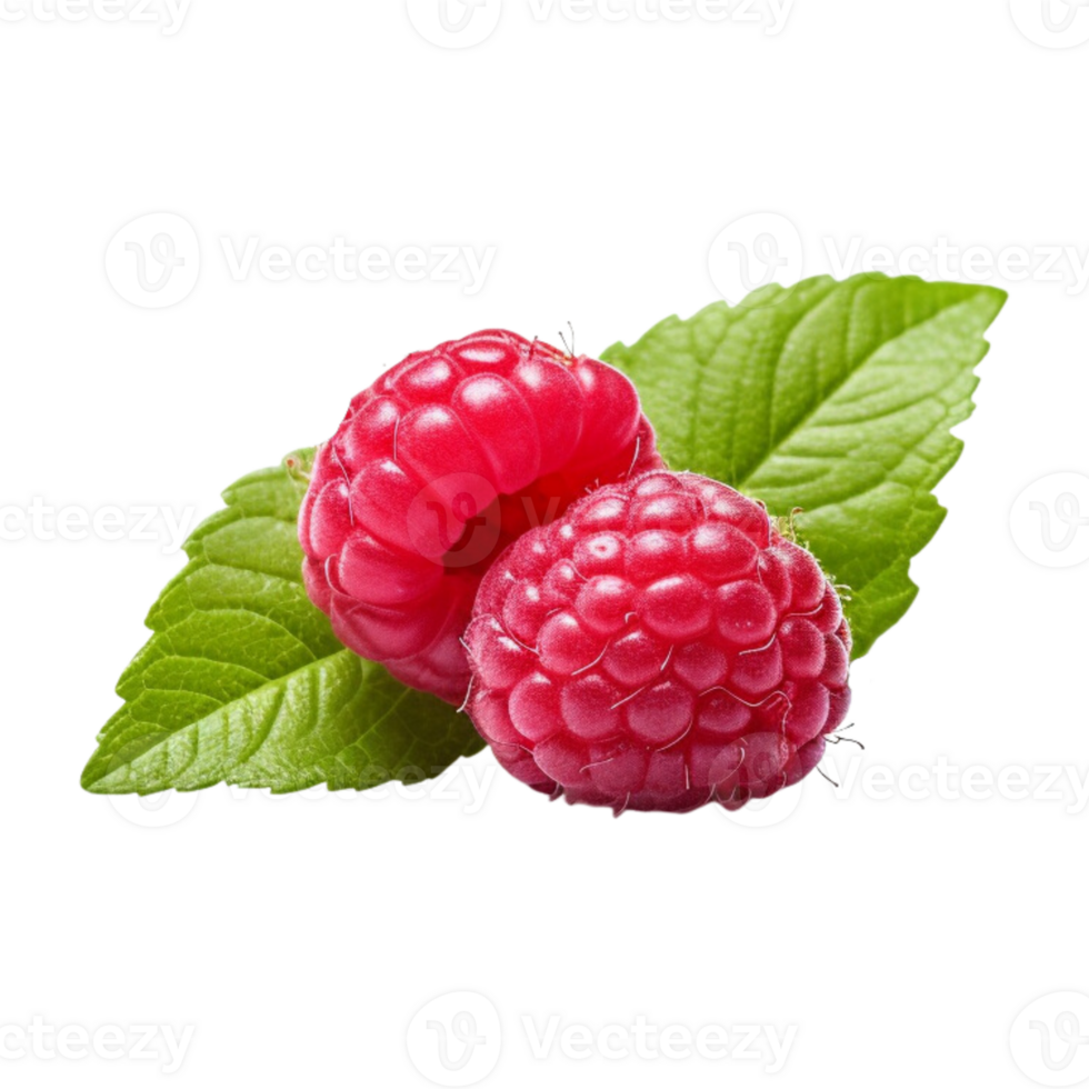 Fresh ripe raspberries with leaves isolated on transparent background. png