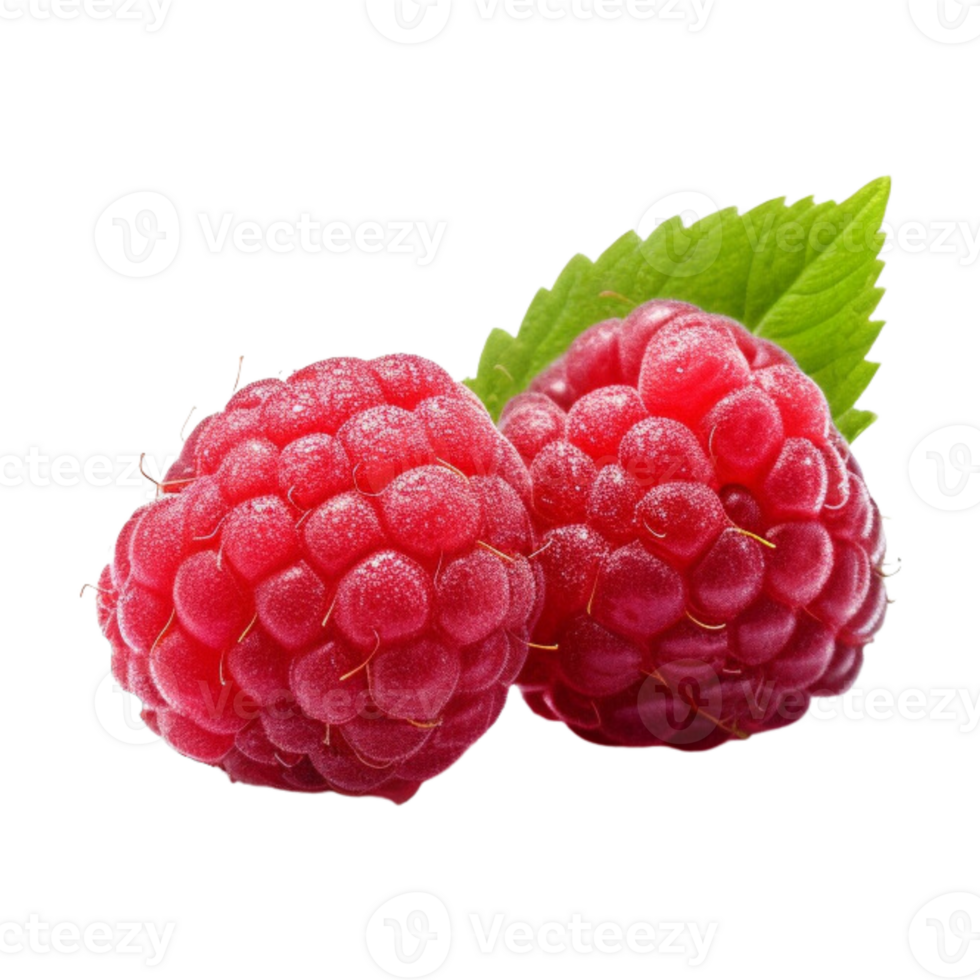 Fresh ripe raspberries with leaves isolated on transparent background. png