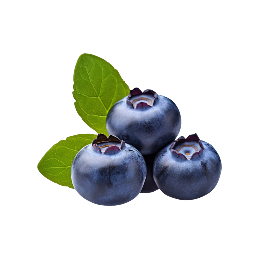 Fresh ripe blueberries isolated on transparent background png