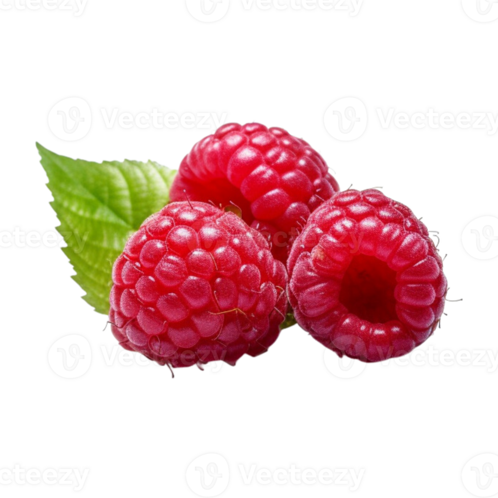 Fresh ripe raspberries with leaves isolated on transparent background. png