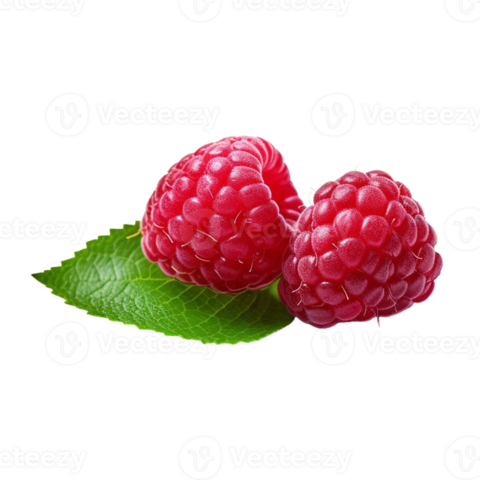 Fresh ripe raspberries with leaves isolated on transparent background. png