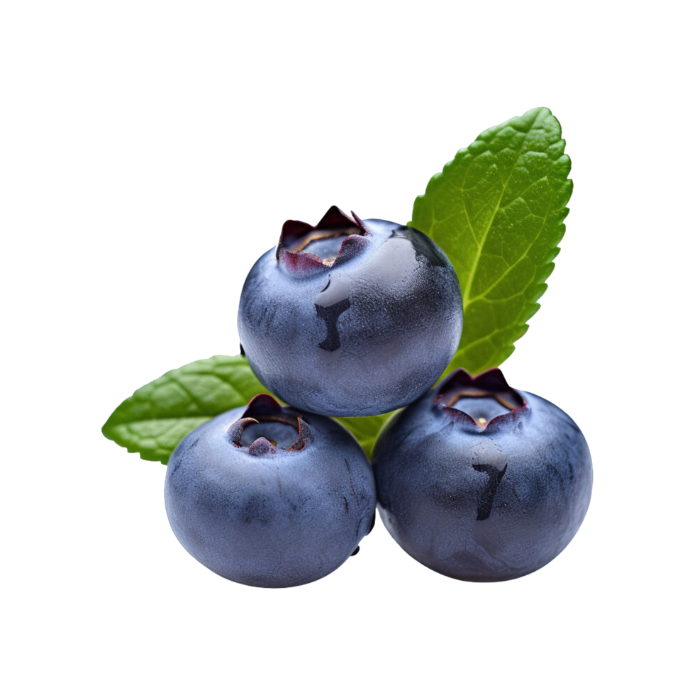 Fresh ripe blueberries isolated on transparent background png