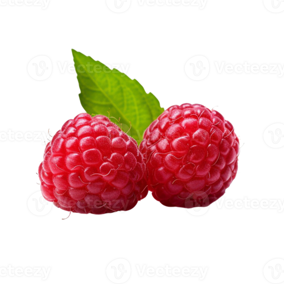 Fresh ripe raspberries with leaves isolated on transparent background. png