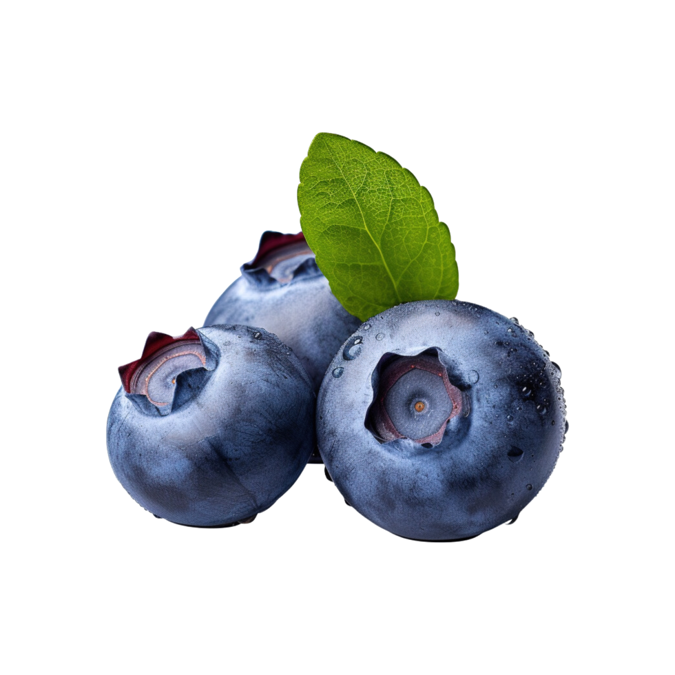 Fresh ripe blueberries isolated on transparent background png