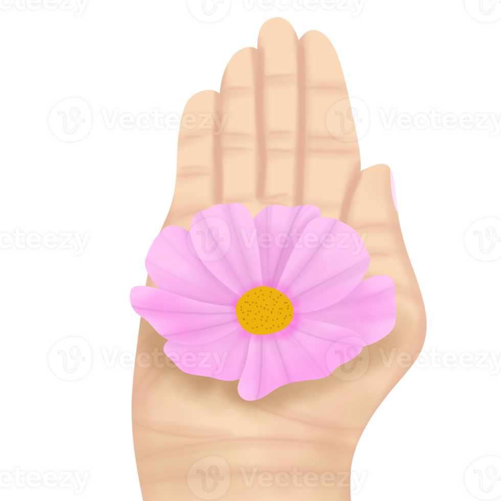 A bloom flower on the hand png