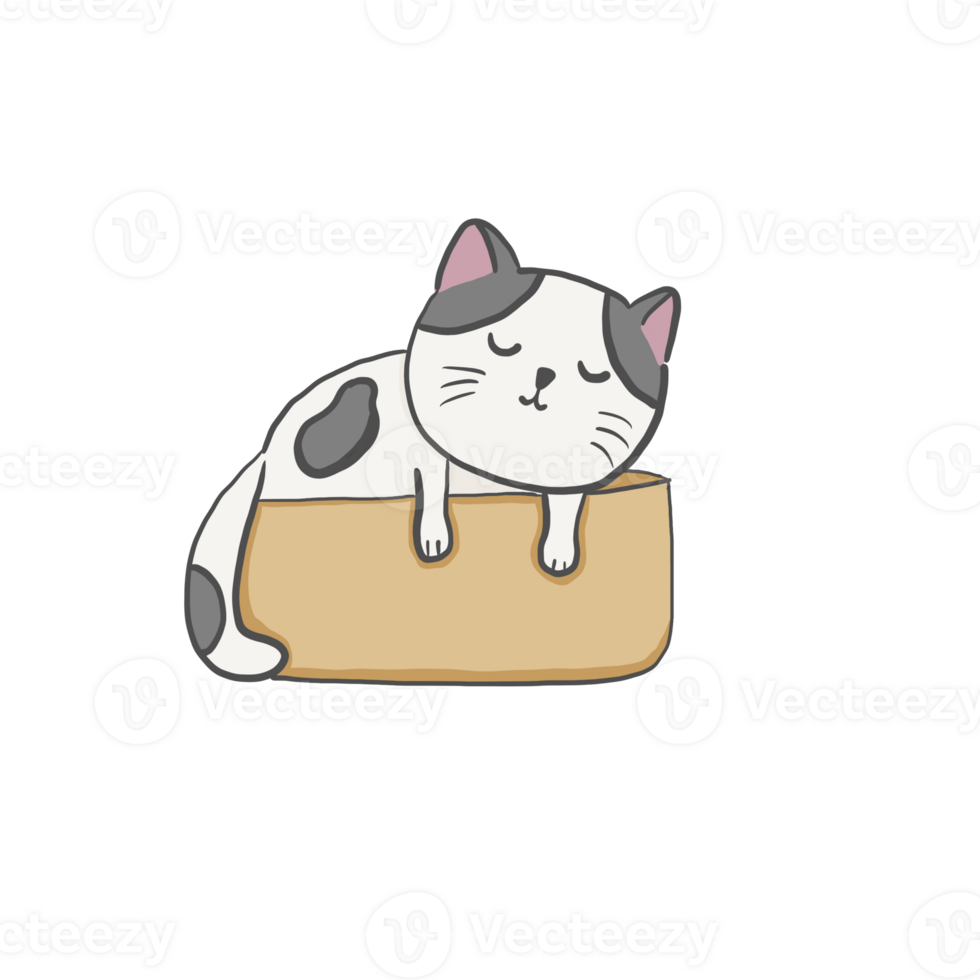 A cat sleeping in a cardboard box 24300385 PNG