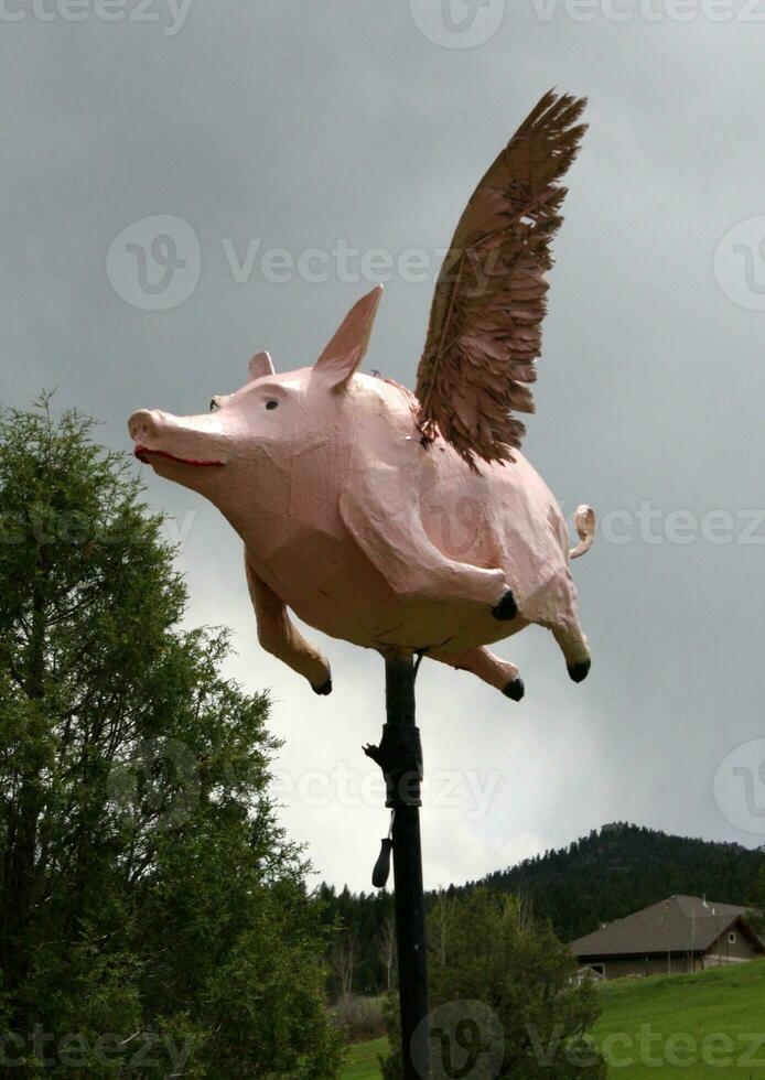 cuando cerdos mosca caprichoso al aire libre escultura foto