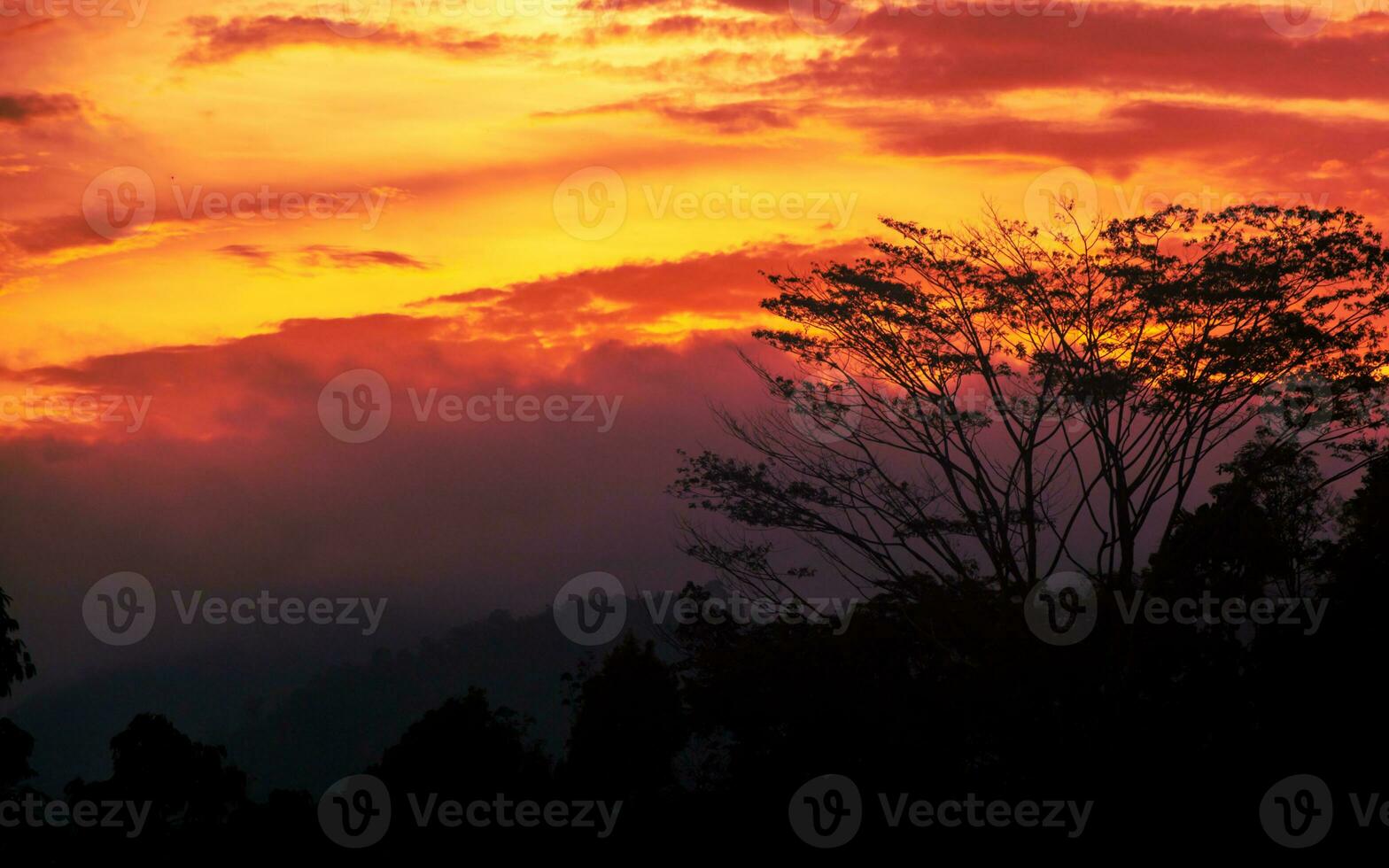 Silhouette of forest and mountain with colorful sunset photo