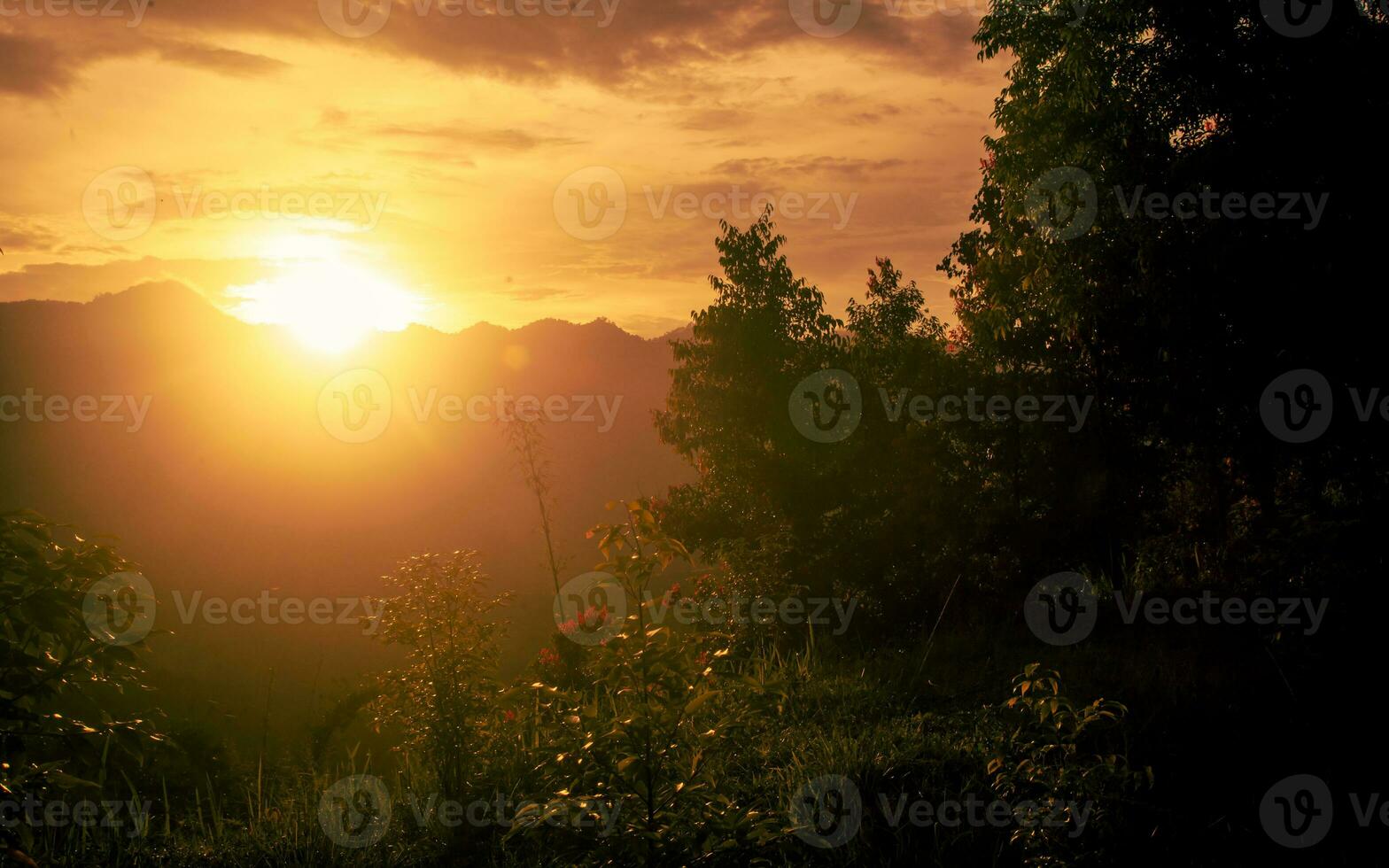 Sunset in woodland with mountain and sunset in the background photo