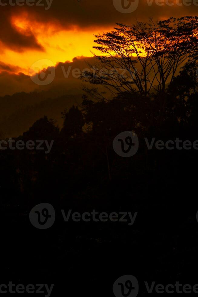 Sunset with silhouette of trees in foreground photo