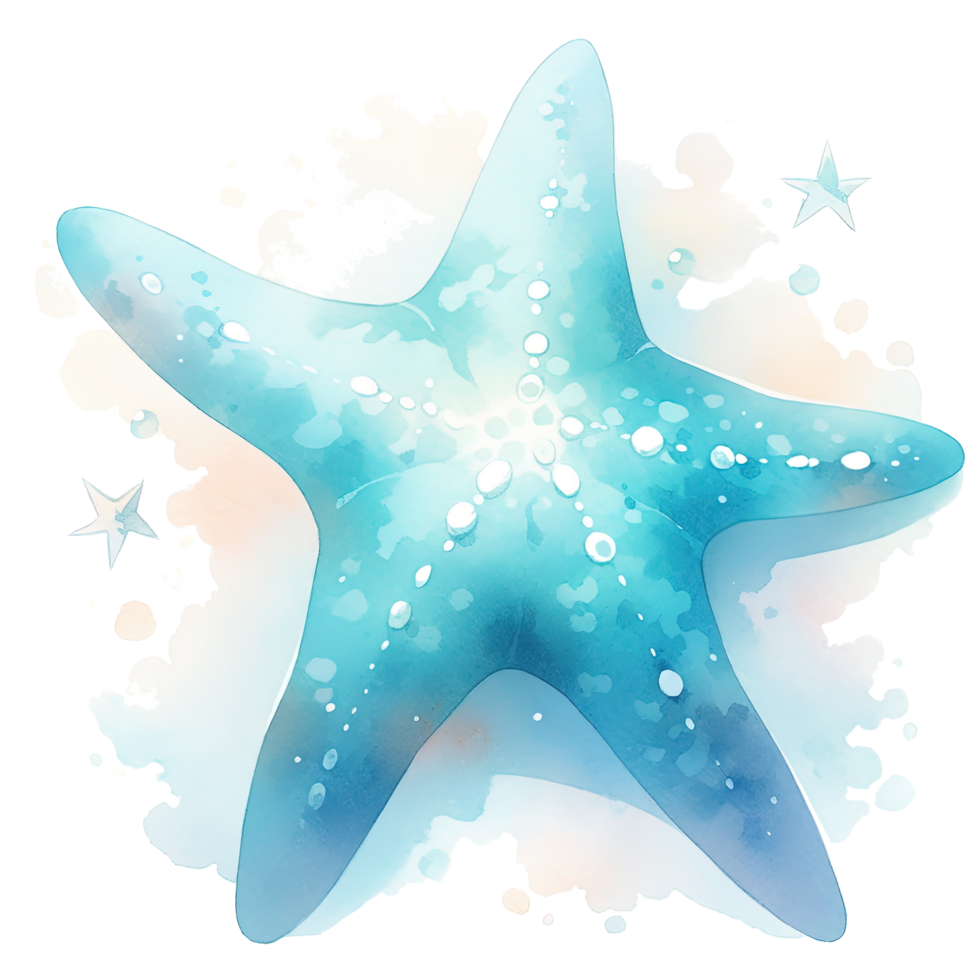 Watercolor starfish. Illustration png