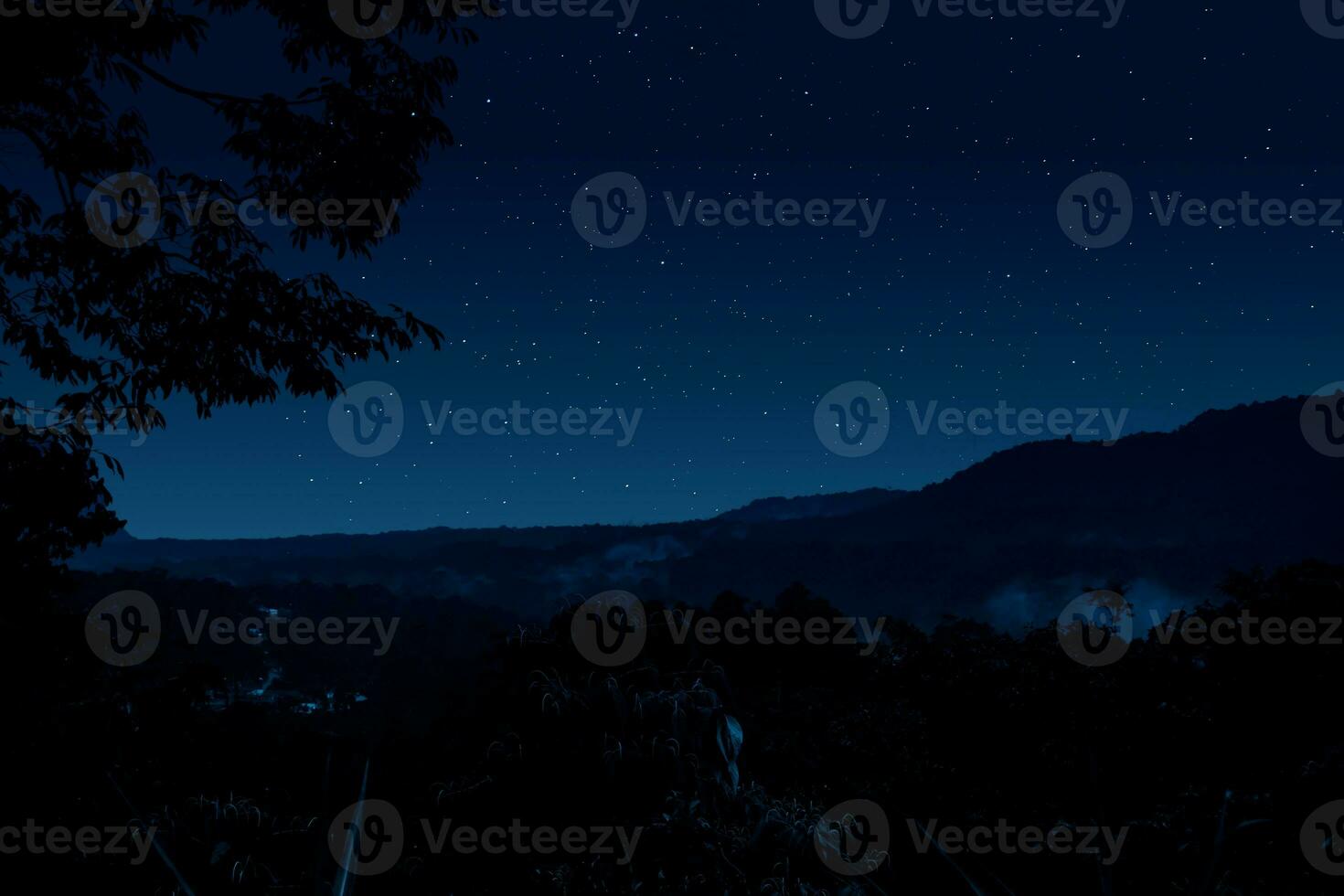 Beautiful night with starry sky over mountain and silhouette of a tree photo