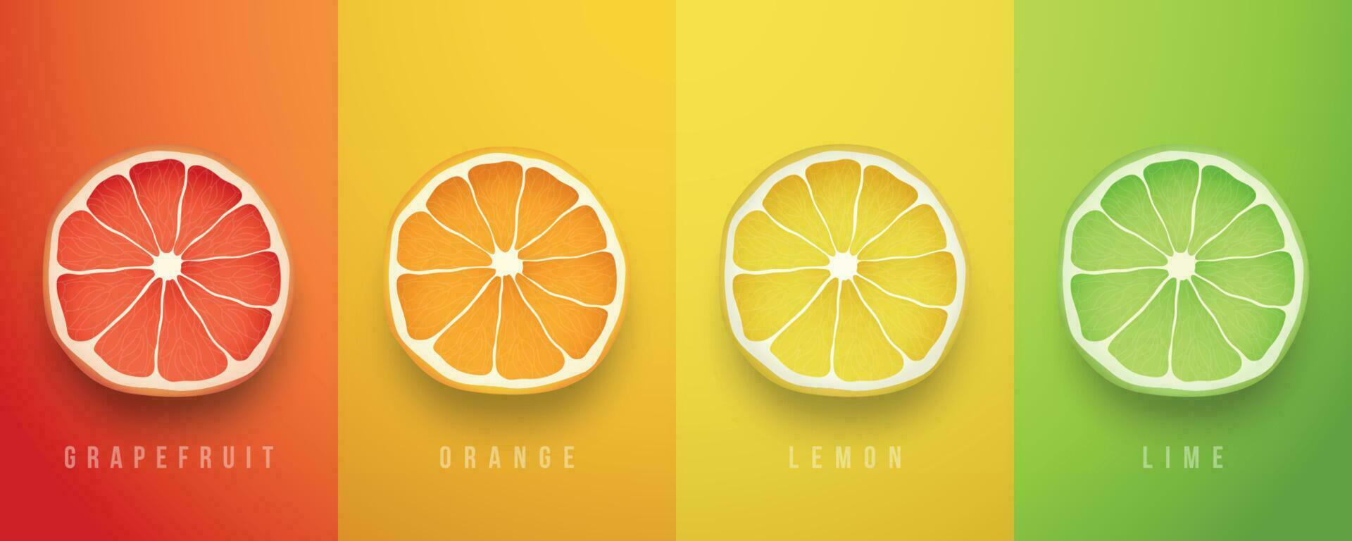 Grapefruit, orange, lemon and lime fresh fruits. 3d vector realistic set.