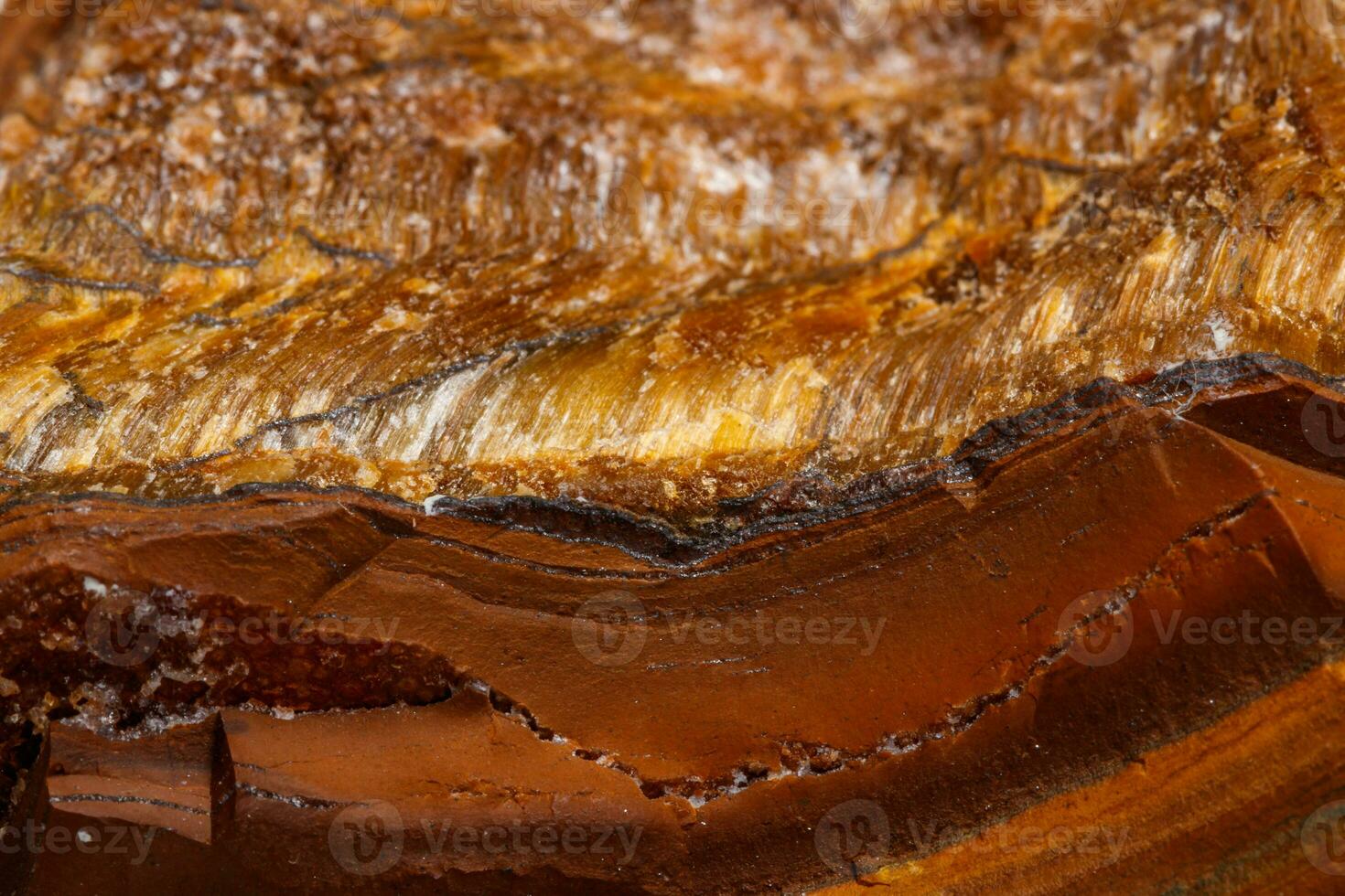 Macro mineral stone Tiger's eye in the breed on a white background photo