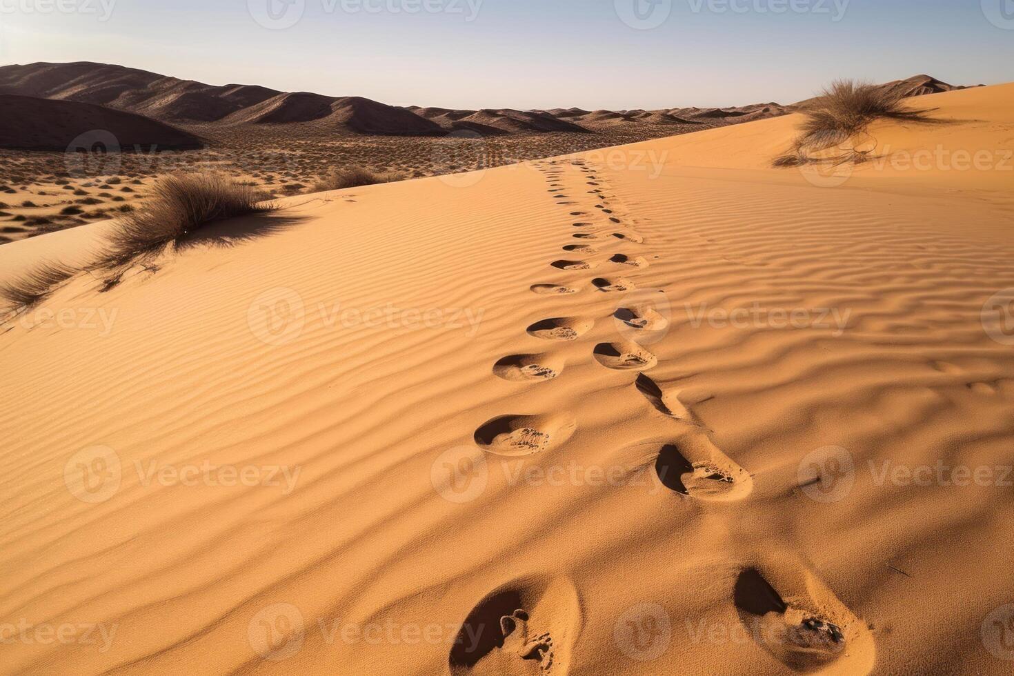 natural footprints in nature on a sand dune photo