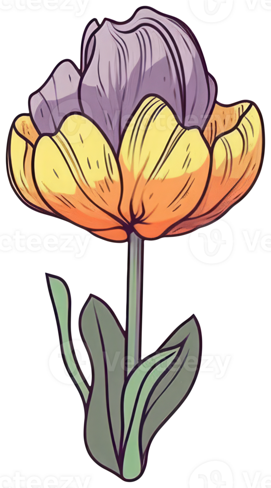 Flower sticker transparent illustration. . png