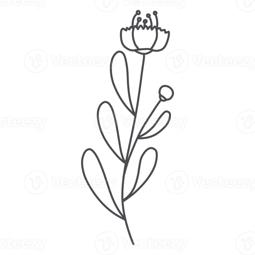 Line Art Floral png