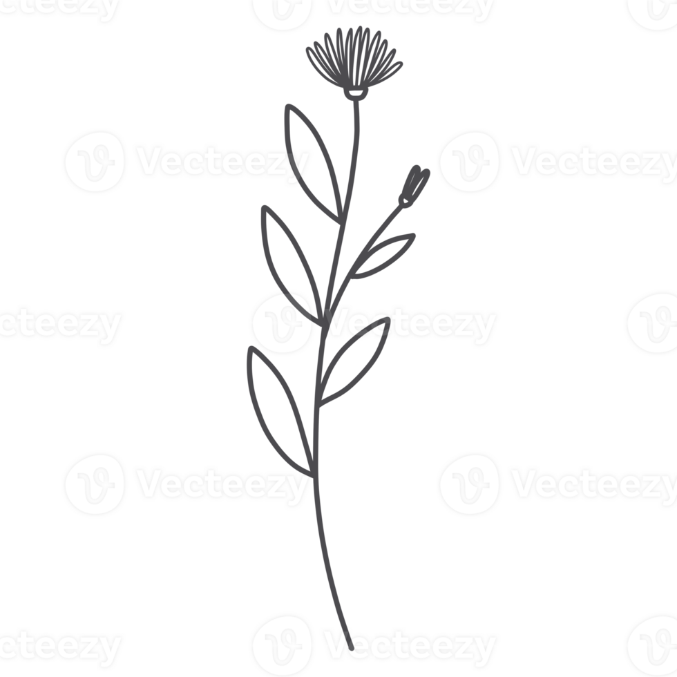 Line Art Floral png