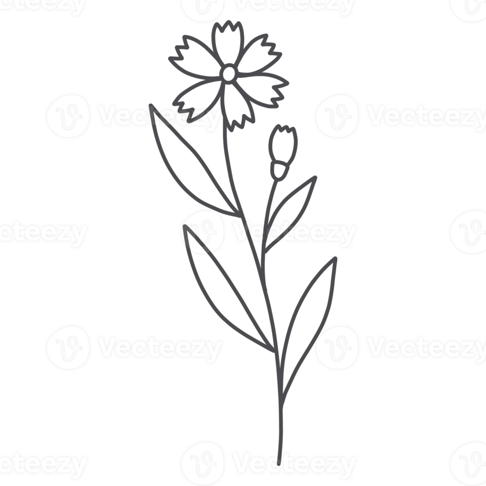 Line Art Floral png