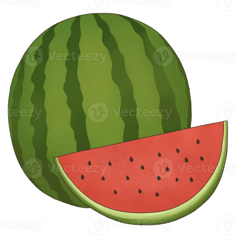 Fruit Illustration Hand Drawn png