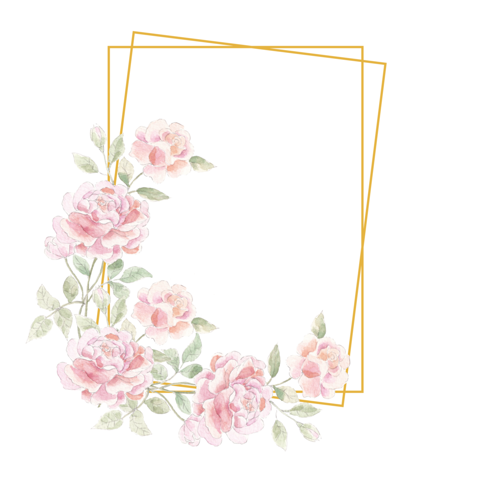 Pink Rose Watercolor Flower Frame png