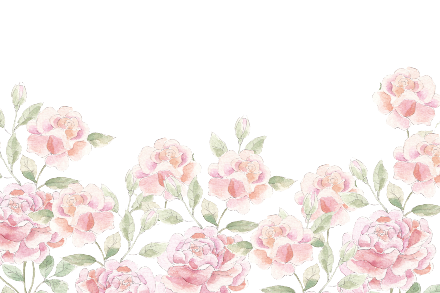 Pink Watercolor Flower Rose Background png