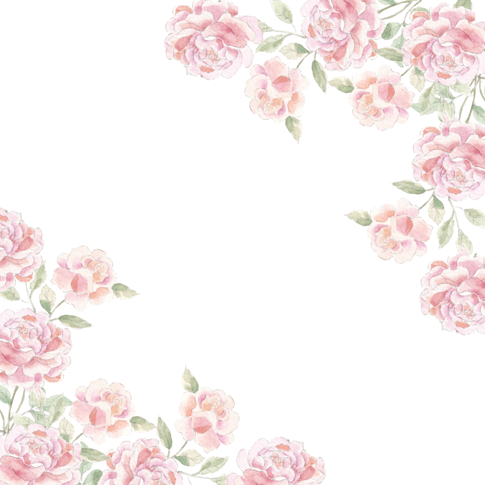 Pink Rose Watercolor Flower Border png