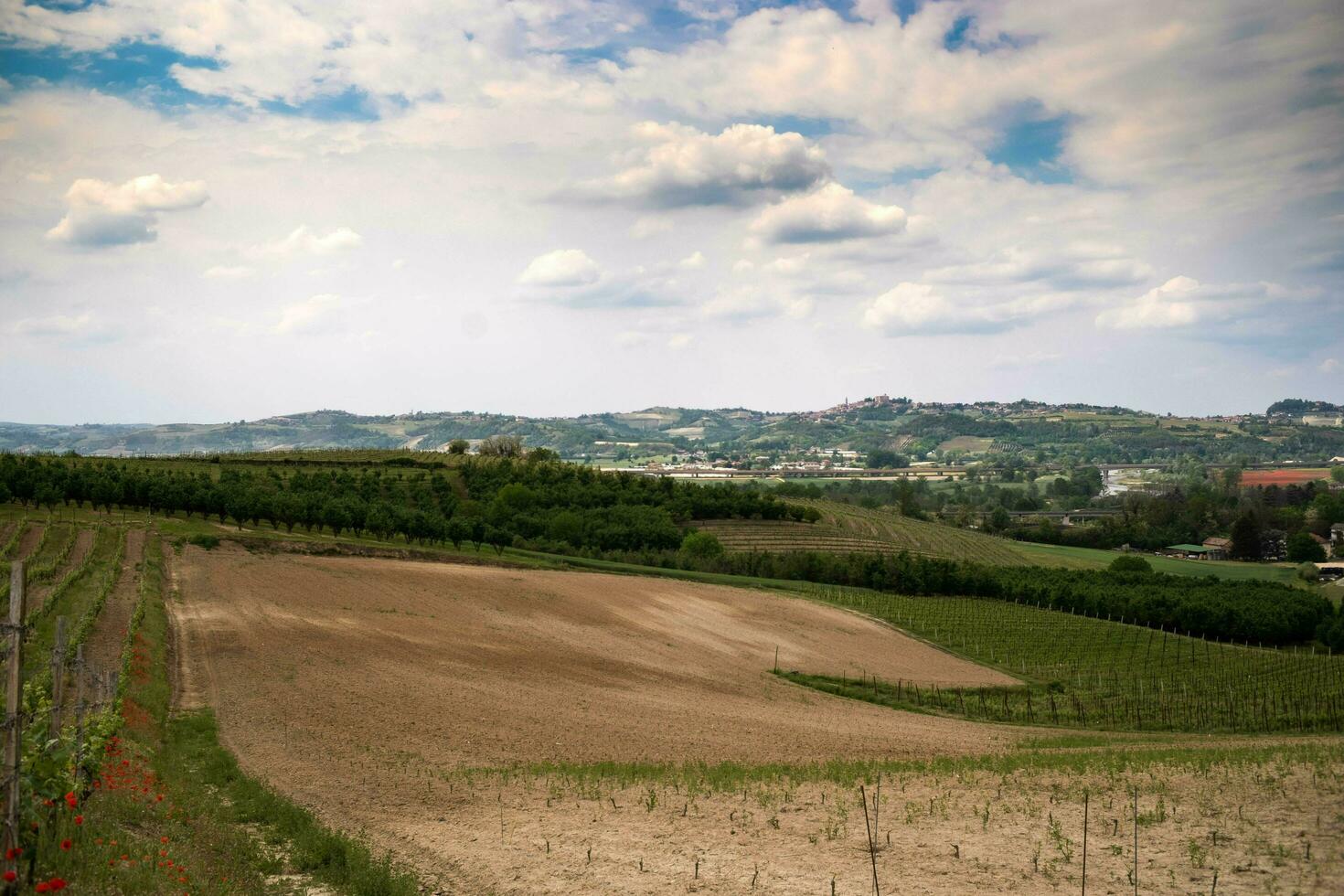 beautiful spring landscapes in Costigliole d'Asti, in the Piedmontese langhe of the Asti area in the spring of 2023 photo