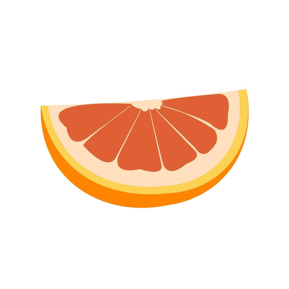 vector illustration of a grapefruit. Lines art tropical fruit, doodle realistic