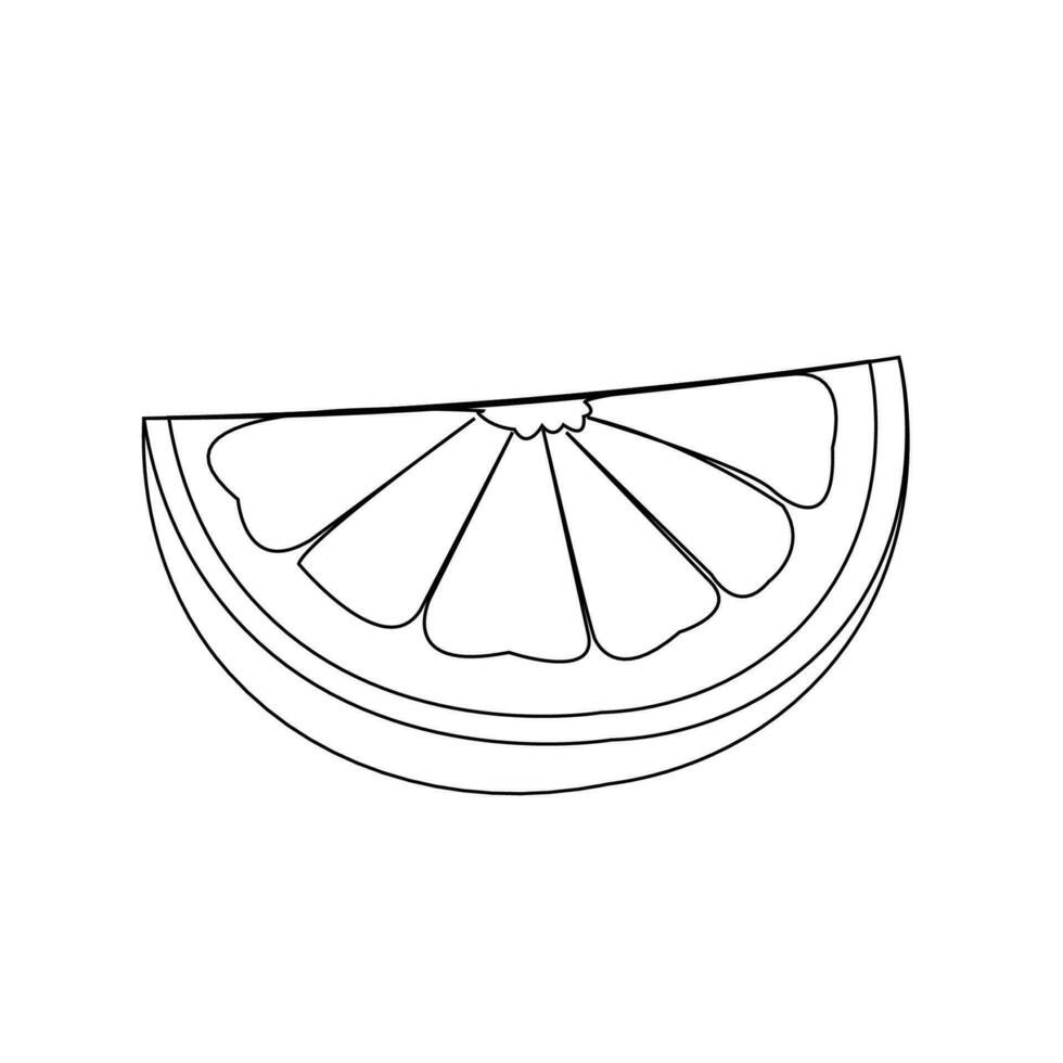 vector illustration of a grapefruit. Lines art tropical fruit, doodle realistic