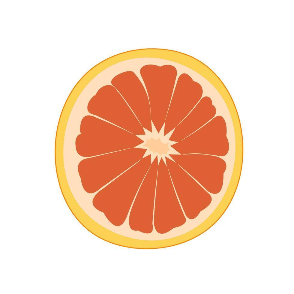 vector ilustración de un pomelo. líneas Arte tropical fruta, garabatear realista