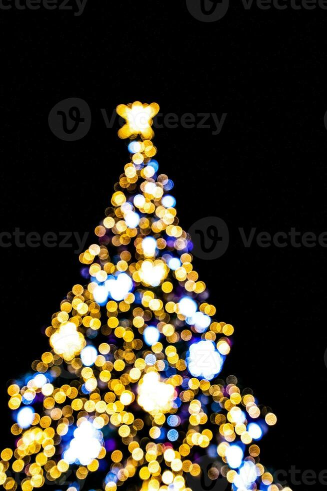 blurred lights illuminating the Christmas tree on a black background photo