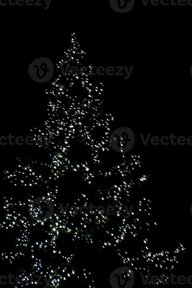 blurred lights illuminating the Christmas tree on a black background photo