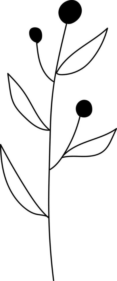 ilustración de un flor, negro y blanco flor, botánico vector, describir, ilustración, naturaleza, flor, verano vector