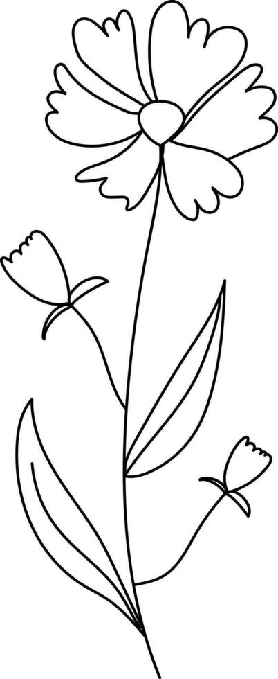 ilustración de un flor, negro y blanco flor, botánico vector, describir, ilustración, naturaleza, flor, verano vector