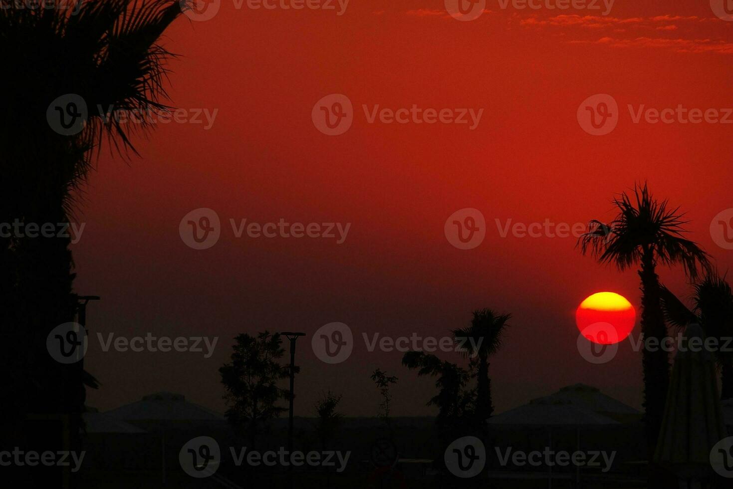 exotic red sunset with buildings outline and palm trees, photo