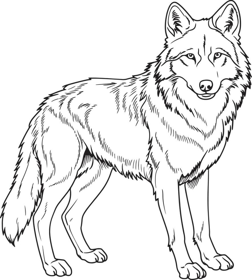 a colouring book for kids, easy to colour, vector illustration, Vector, Annimals