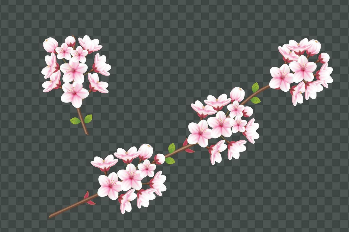 realista floreciente Cereza flores y pétalos ilustración, cereza florecer vector. rosado sakura flor antecedentes. Cereza florecer flor floreciente vector