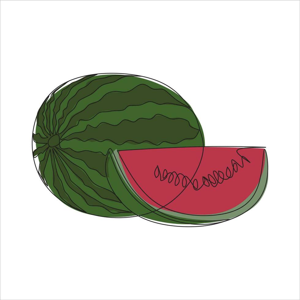 Vector watermelon fruit drawing of one continuous line. Color illustration of watermelon fruit in the style of one line art