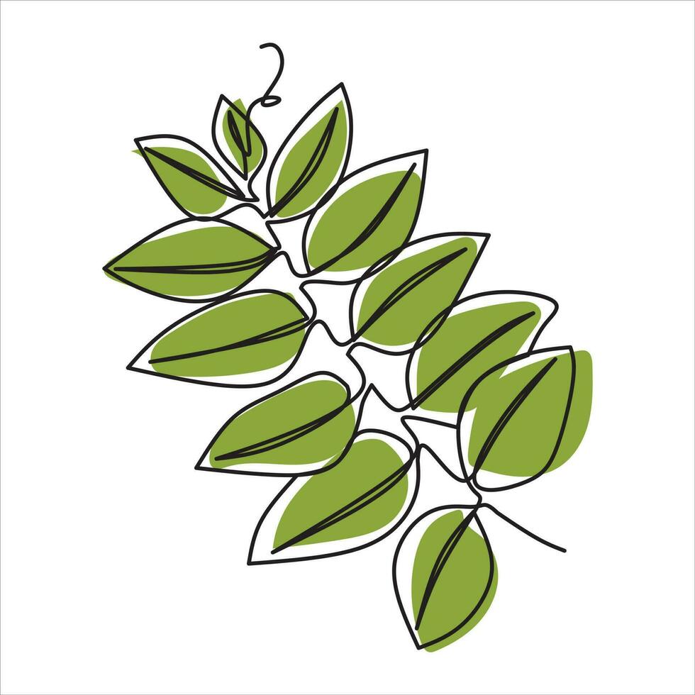 Vector leaf drawing of one continuous line. Color illustration of leaf in the style of one line art