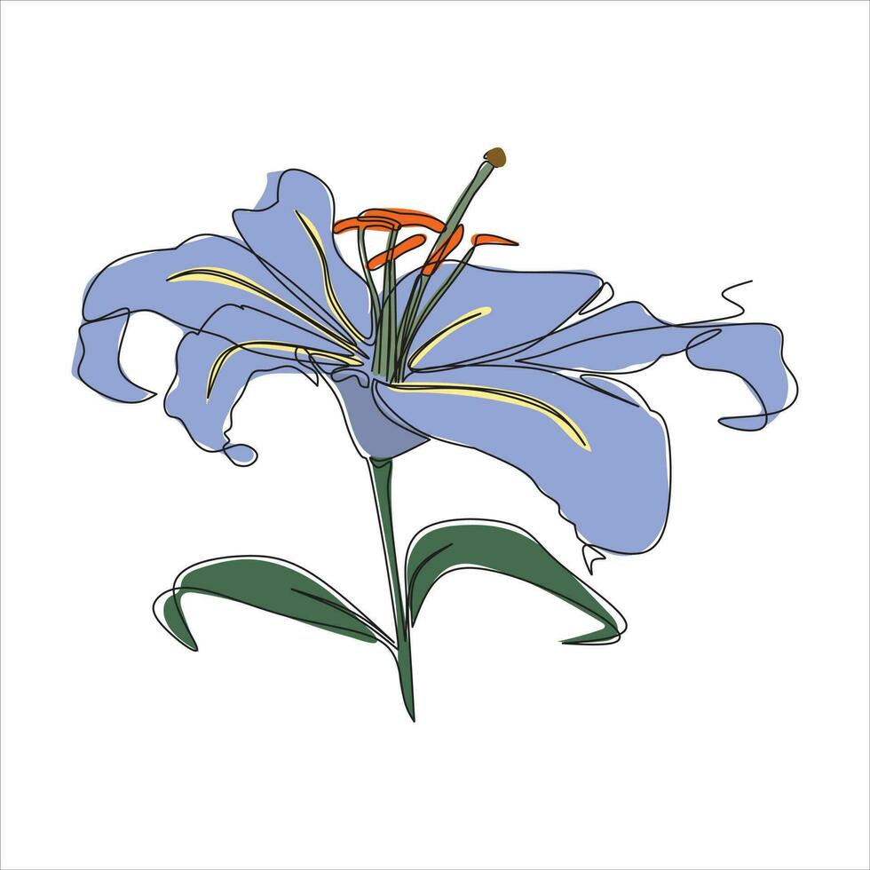 Vector lily flower drawing of one continuous line. Color illustration of lily in the style of one line art