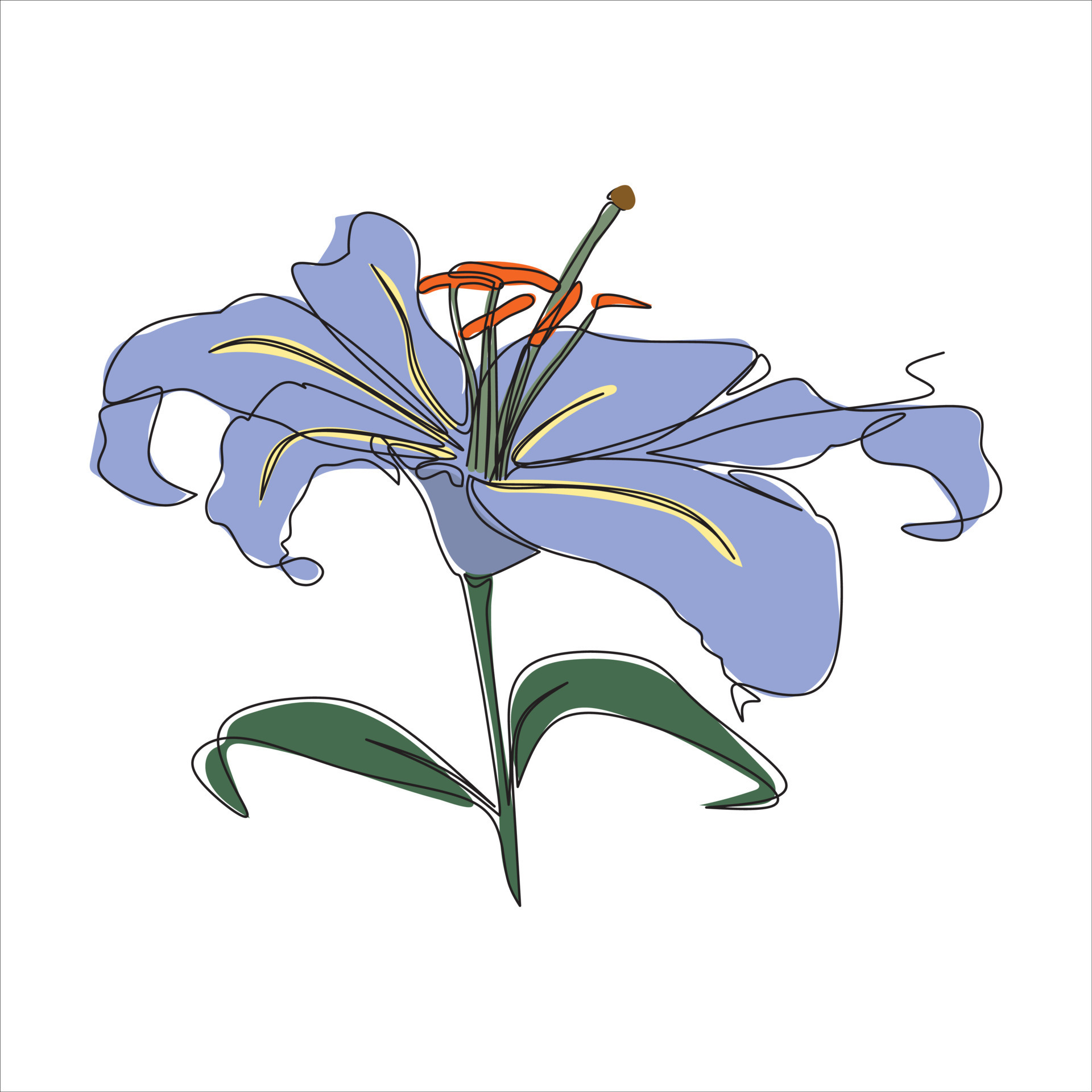 flower drawing color animation 22507202 PNG-saigonsouth.com.vn