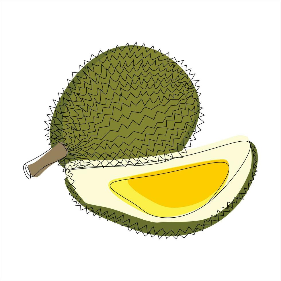 Vector durian drawing of one continuous line. Color illustration of durian in the style of one line art