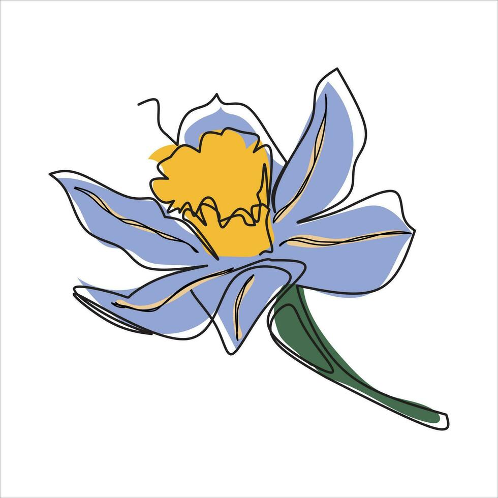 Vector daffodil flower drawing of one continuous line. Color illustration of daffodil in the style of one line art