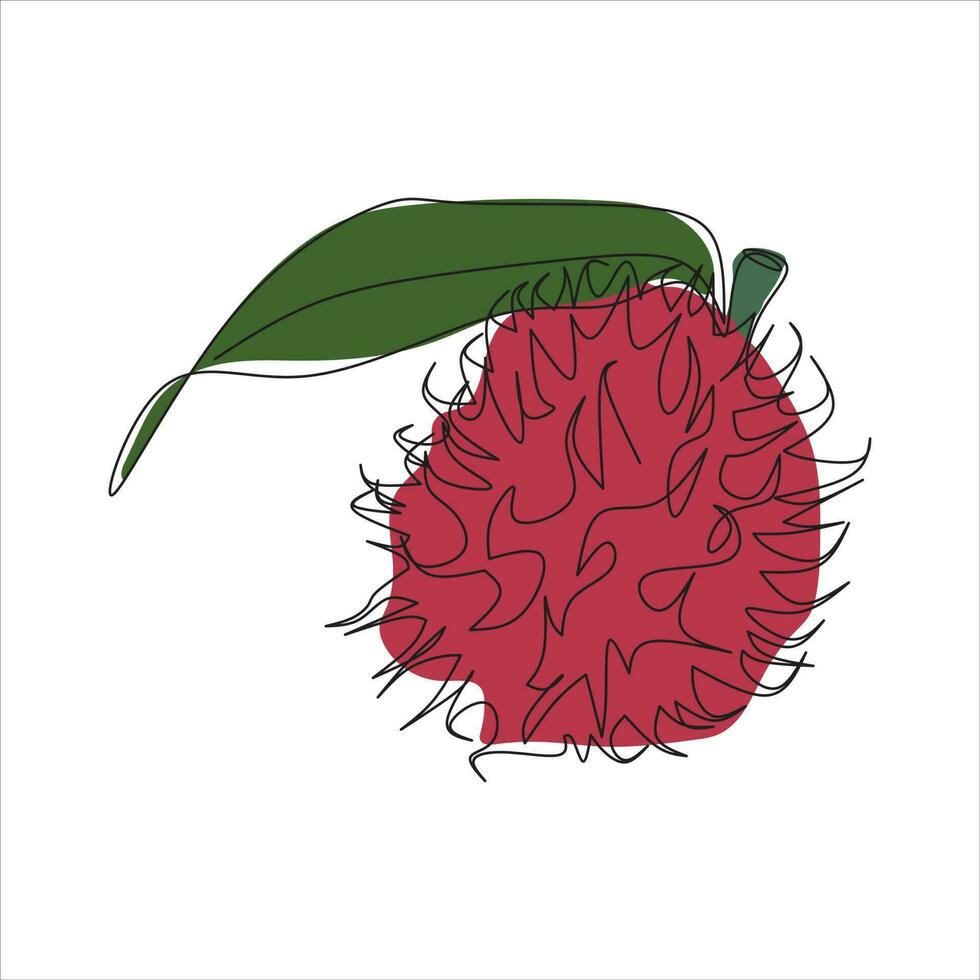 Vector rambutan fruit drawing of one continuous line. Color illustration of rambutan fruit in the style of one line art