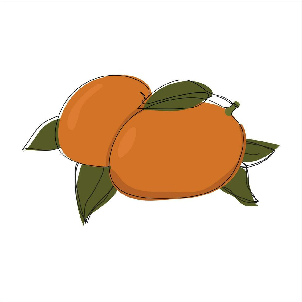 Vector mango drawing of one continuous line. Color illustration of mango in the style of one line art