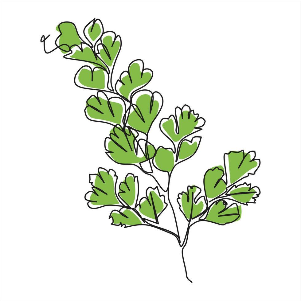 Vector leaf drawing of one continuous line. Color illustration of leaf in the style of one line art