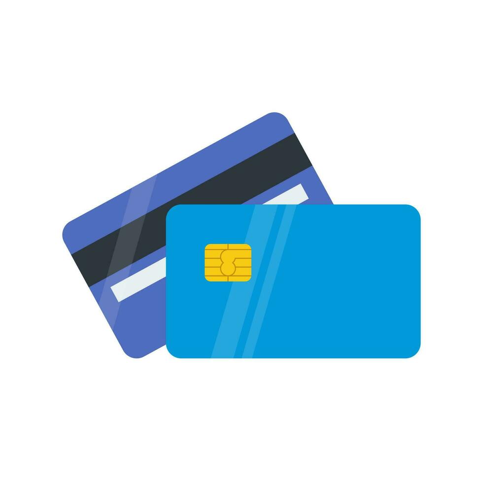 payment of money through the internet network card vector